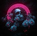 Neon Skull Wallpapers - 4k, HD Neon Skull Backgrounds on Wal