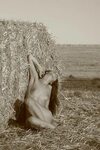 "a woman stretching in the field, naked" by orgal2 Redbubble