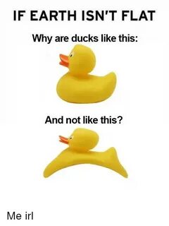 If EARTH ISN'T FLAT Why Are Ducks Like This and Not Like Thi