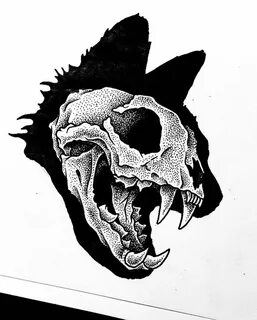 Cat Skull Drawing at PaintingValley.com Explore collection o