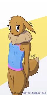 The Big ImageBoard (TBIB) - anthro clothing eevee invalid ta