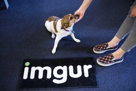 At Imgur office in S.F.'s Jackson Square, image is everythin