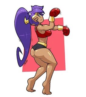 Fighting Shantae by Netto-Painter on DeviantArt