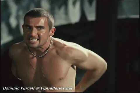 BMC :: Dominic Purcell nude on BareMaleCelebs.com