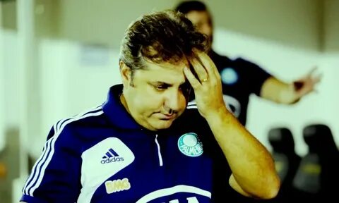 Flavio Canuto Blog do Torcedor do Palmeiras