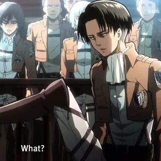 Attack on Titan - Levi Beats up Eren Scene by madsbeer and l