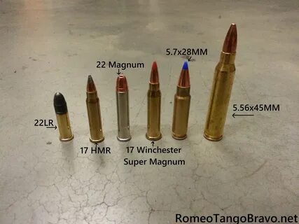 17wsm Vs 22 Mag Related Keywords & Suggestions - 17wsm Vs 22