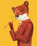 Fox illustration, Fantastic mr fox, Fox art