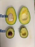 Florida avocado now available. Parkesdale Farm Market Blog