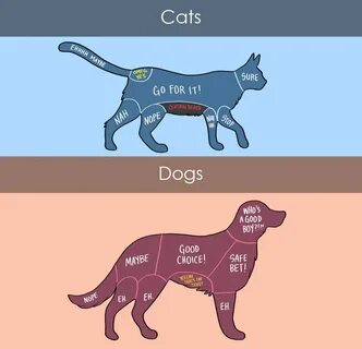 a snippet from How to Properly Pet Animals, by Adam Ellis - 