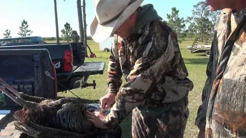 How to remove a Turkey Beard without a knife - YouTube