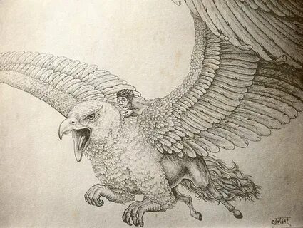 Harry and Hippogriff by ansent on deviantART Harry potter ta