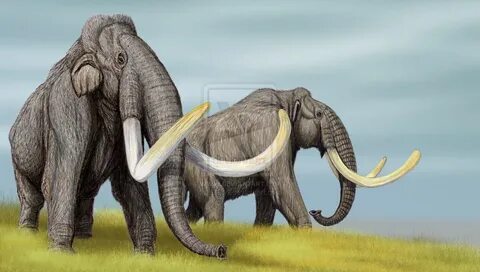 DiBgd's DeviantArt Gallery Prehistoric animals, Prehistoric 