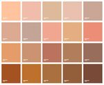 Image result for skin colours pantone Pantone color guide, C