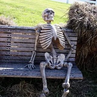 skeleton waiting in a bench Latest Memes - Imgflip