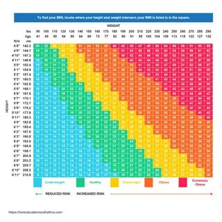 BMI Calculator South Africa - Calculate Your Body Mass Index