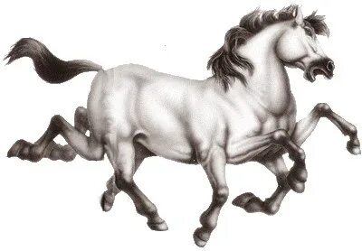 Слейпнир. Слейпнир - волшебный восьминогий конь Одина. Самый