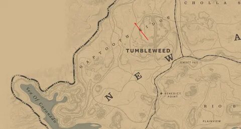 Black Currant Location Rdr2 - Shopea Fruit