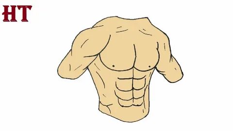 How to Draw Abs step by step for Beginners Six pack drawing 