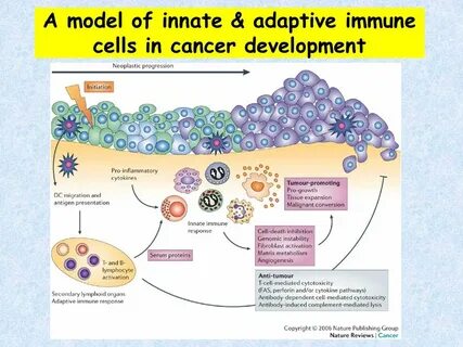 Inflammation and Cancer - ppt video online download