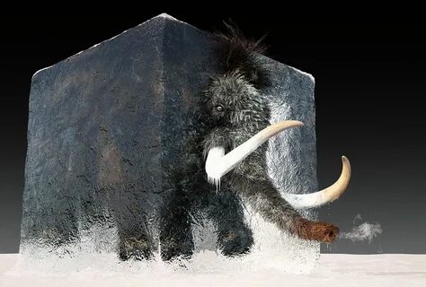 Will woolly mammoth cloning ever be a reality? Salon.com