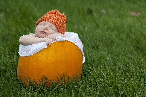 Buy cutest pumpkin in the patch baby outfit OFF-67