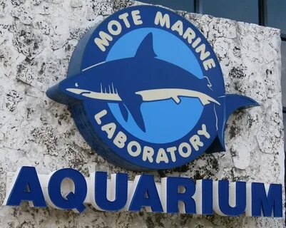 Mote Marine Laboratory Flickr