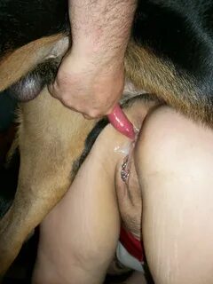 Two dogs porn 🌈 Homemade Teen Kayla And Dog Porno - Porn Pho