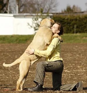 Woman Dogs Affection Related Keywords & Suggestions - Woman 