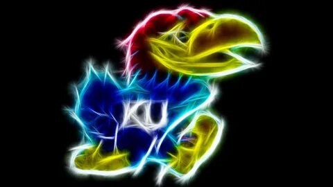 The Jayhawks Wallpapers Wallpapers - Most Popular The Jayhaw