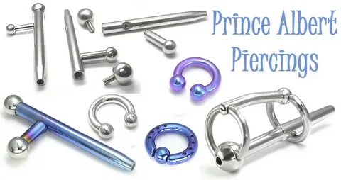 What Is a Prince Albert Piercing & How Does It Work? Painful