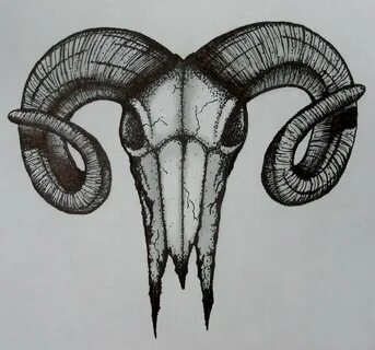 Skull With Horns Drawing at PaintingValley.com Explore colle