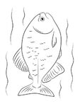 Раскраска рыба Пиранья - распечатать в формате А4