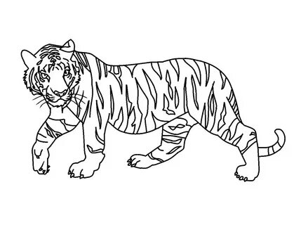 Siberian Tiger Coloring Sheet - Image Sharing Site