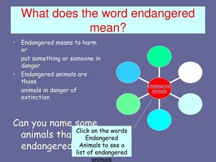 PPT - Endangered Animals PowerPoint Presentation, free downl