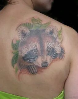 Raccoon tattoo: meaning, photon on the arm and sketches for 