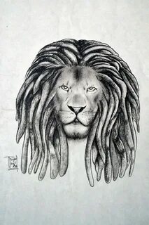 Pin by Elveria Colledge on tattoos of lions with dreads Lion