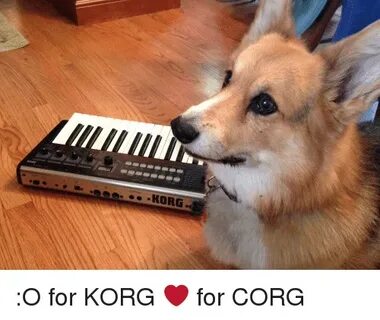 KORG O for KORG ❤ for CORG Dank Meme on awwmemes.com