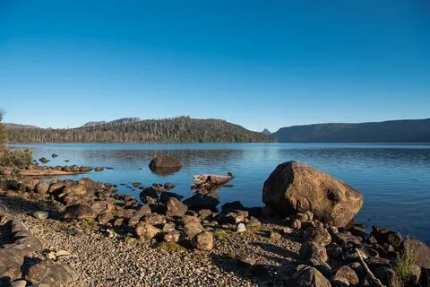 Lake st clair, lake, cynthia bay, tasmania, nature - free im
