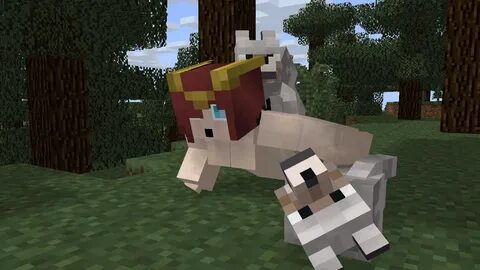 Minecraft sex gifs