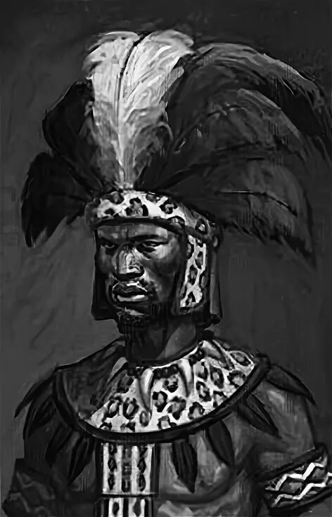 470 Zulu Warriors ideas zulu warrior, zulu, african history