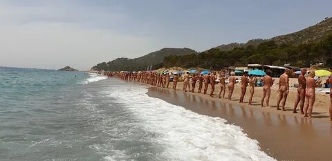 Nude beach near tampa ♥ Nude Beach Swingerbbw