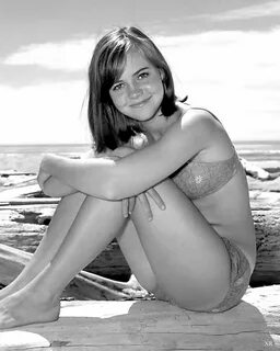 sally field. Old celebrities, Sally field, Gidget