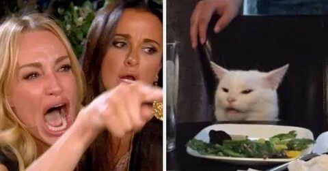 27 "Woman Yelling At A Cat" Memes That Have Kept Me Laughing