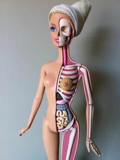 This is weird... Bad barbie, Barbie, Anatomy