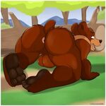 Pictures showing for Female Anthro Bear Porn - www.mydreamgi