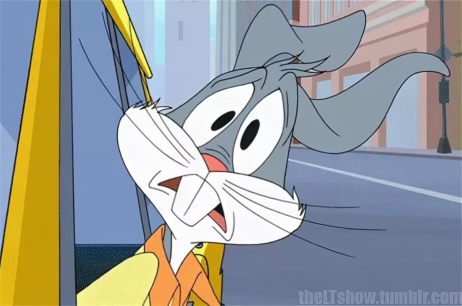 Looney Tunes Gif - Gif Abyss