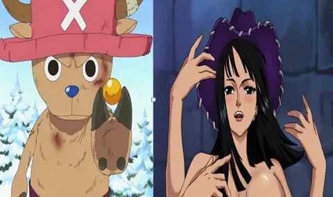 Hana Hana no Mi: One Piece: Hình dáng thật trái ác quỷ của C