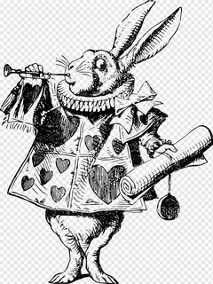 Rabbit, Animal, Line Art, Anthropomorphic, Bunny, Alice In W