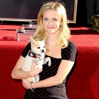 Celebrities Who Could Not Part With Their Adorable Animal Co